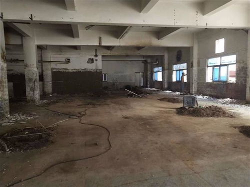 地震無情，數據有心 揭秘開平市幼兒園房屋抗震檢測成本的多維考量